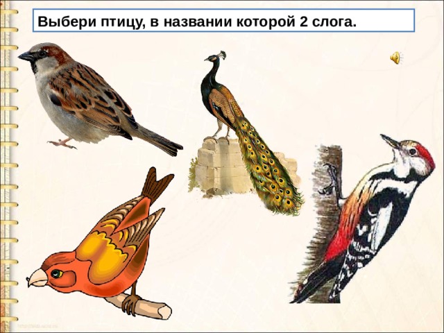 Что такое слияние букв 1 класс. Смотреть фото Что такое слияние букв 1 класс. Смотреть картинку Что такое слияние букв 1 класс. Картинка про Что такое слияние букв 1 класс. Фото Что такое слияние букв 1 класс