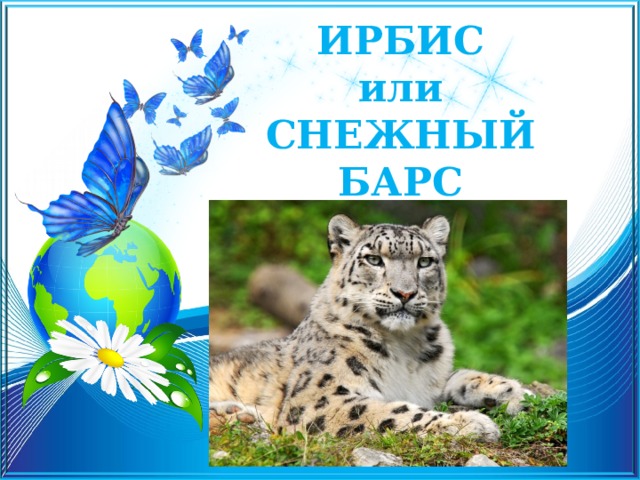 ИРБИС  или  СНЕЖНЫЙ БАРС 
