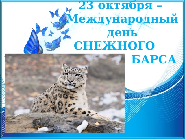 23 октября –  Международный день  СНЕЖНОГО  БАРСА 
