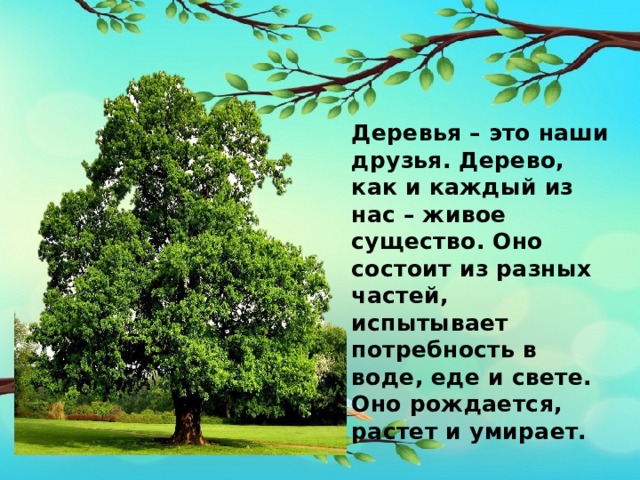 Дерево в жизни человека 1 класс гармония презентация