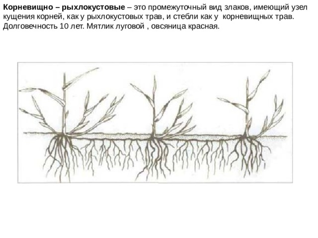 Схемы типов кущения