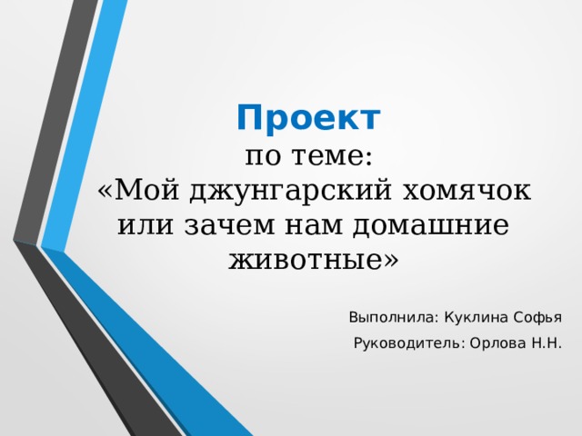 Проект  по теме:  «Мой джунгарский хомячок или зачем нам домашние животные» Выполнила: Куклина Софья Руководитель: Орлова Н.Н. 