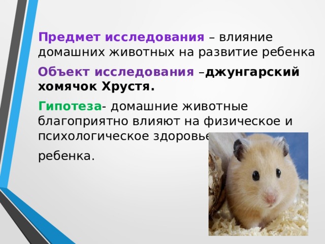 Влияние домашних животных на человека проект "Мой джунгарский хомячок"