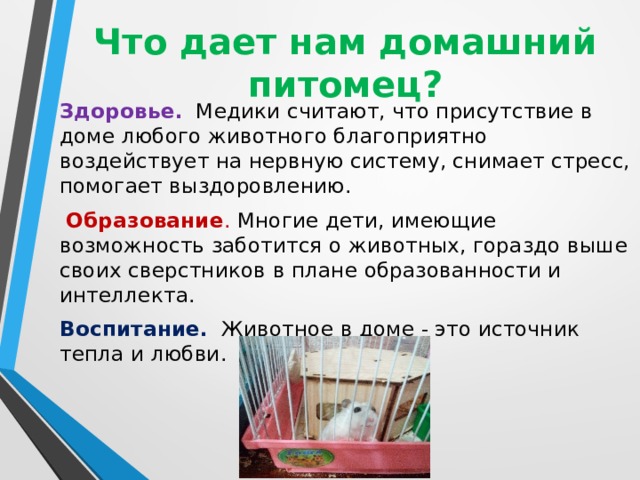 Что дает нам домашний питомец?   Здоровье. Медики считают, что присутствие в доме любого животного благоприятно воздействует на нервную систему, снимает стресс, помогает выздоровлению.  Образование . Многие дети, имеющие возможность заботится о животных, гораздо выше своих сверстников в плане образованности и интеллекта. Воспитание.  Животное в доме - это источник тепла и любви. 