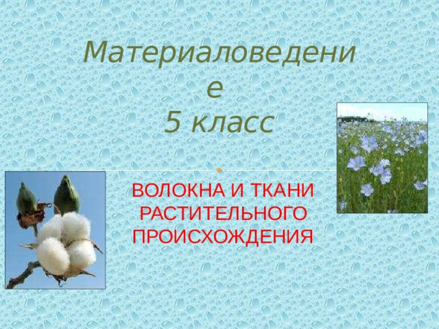 Токсин растительного происхождения. Натуральные волокна растительного происхождения. Презентация волокна растительного происхождения 5 класс презентация.