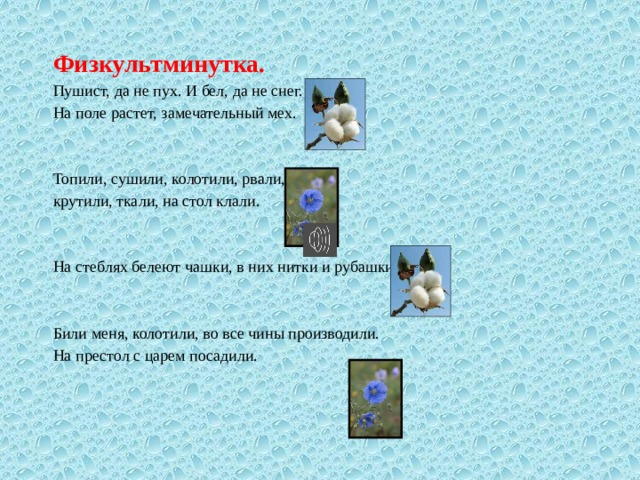 Физкультминутка. Пушист, да не пух. И бел, да не снег. На поле растет, замечательный мех. Топили, сушили, колотили, рвали, крутили, ткали, на стол клали. На стеблях белеют чашки, в них нитки и рубашки. Били меня, колотили, во все чины производили. На престол с царем посадили. 