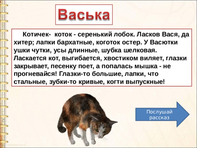 Место для чутких ушей 7 букв. Текст Васька. Котичек коток серенький лобок. Кот Васька Ушинский.