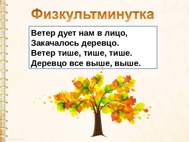 Дует дует ветер текст. Физминутка ветер дует нам в лицо. Ветер дует нам в лицо закачалось деревцо физминутка. Ветер дует нам в лицо физмин. Физминутка для детей ветер дует нам в лицо.