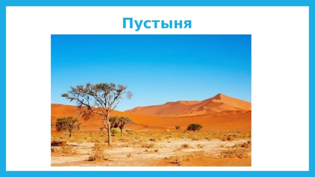 Пустыня 