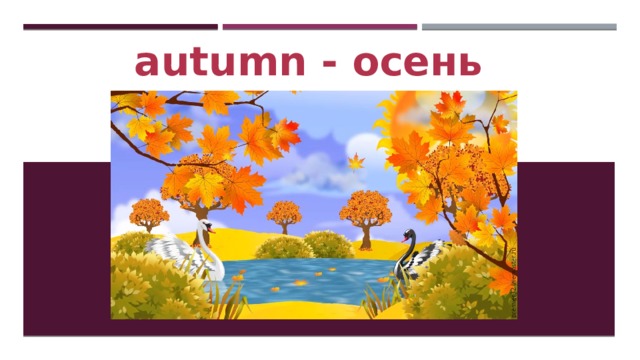 autumn - осень 
