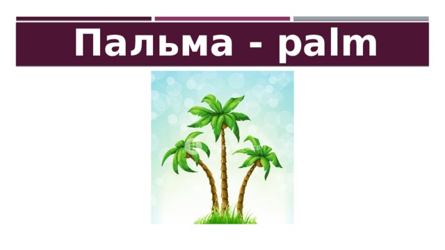 Пальма - palm 