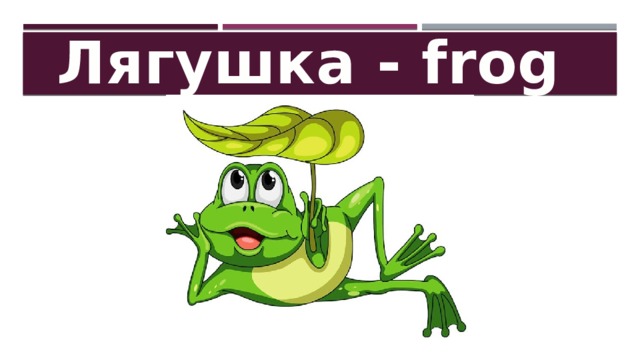 Лягушка - frog 