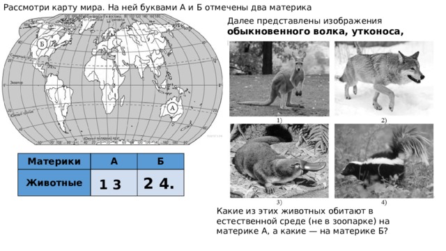 Далее представлены изображения