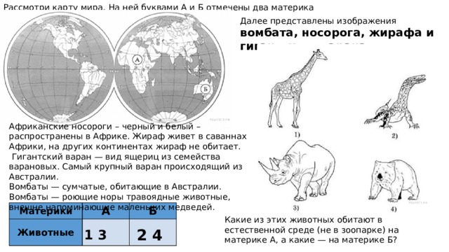 Далее представлены изображения