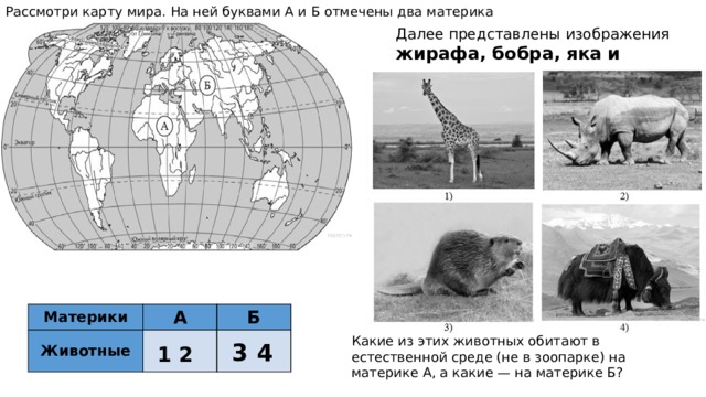 На рисунках представлены изображения жирафа слона бобра бизона запиши на строчках название каждого