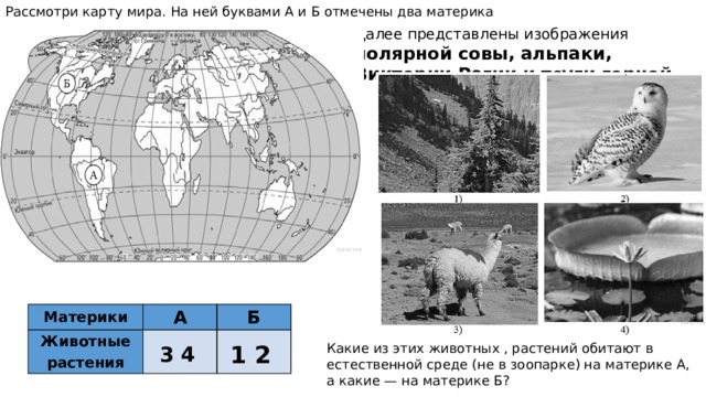 Рассмотри карту на странице