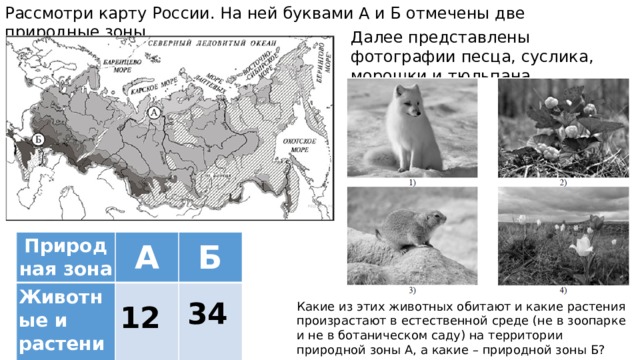 Рассмотри фотографии каждая из них может служить иллюстрацией выполнения