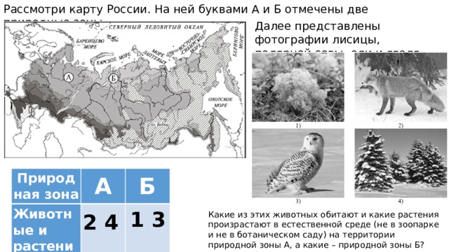 Дополни предложение зона языка отмеченная на рисунке цифрой 1 распознает вкус