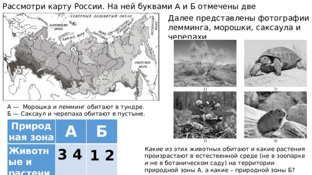 Рассмотрите схему природного процесса и выполните задания география ответы впр 7 класс