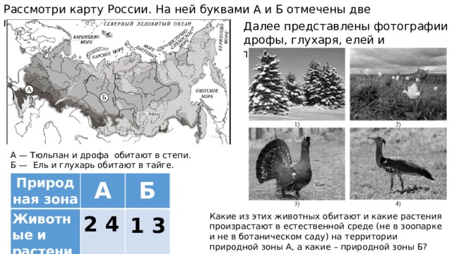 Впр дальше идут степные места удивительный. Карта природных зон 4 класс ВПР России окружающий. Рассмотри карту природных зон.