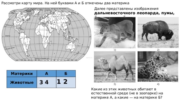 На рисунках представлены изображения жирафа слона бобра бизона запиши на строчках название каждого