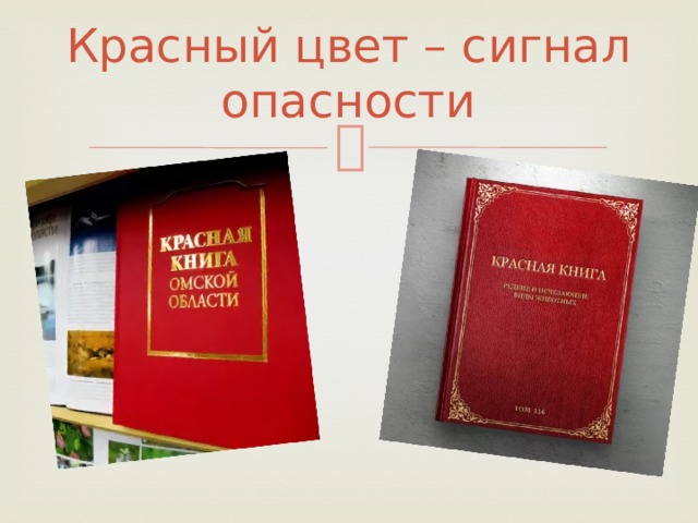 Проект по биологии красная книга сигнал тревоги