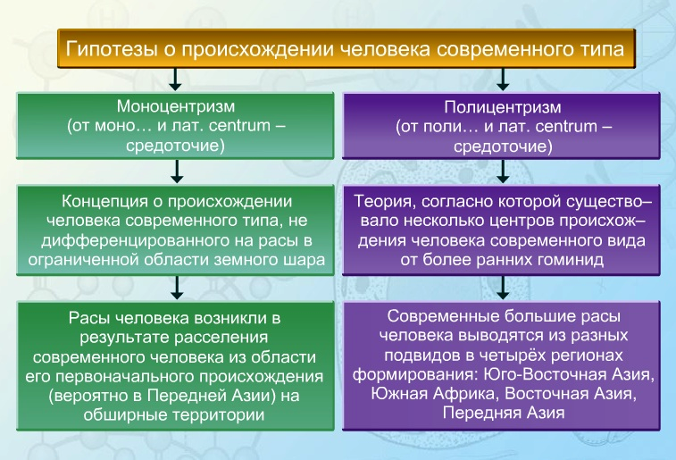 Гипотезы расогенеза схема