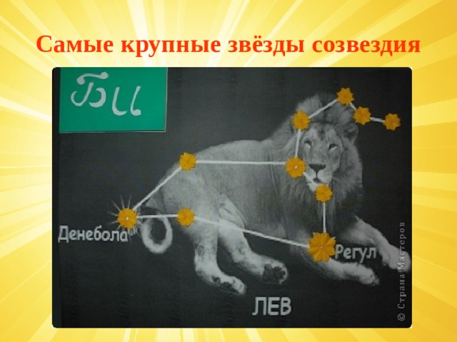 Самые крупные звёзды созвездия 