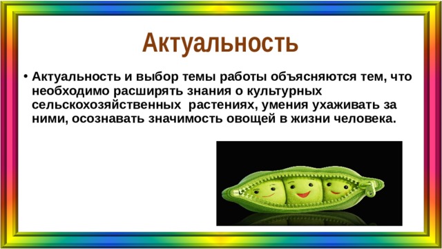 Актуальность Актуальность и выбор темы работы объясняются тем, что необходимо расширять знания о культурных сельскохозяйственных растениях, умения ухаживать за ними, осознавать значимость овощей в жизни человека. 