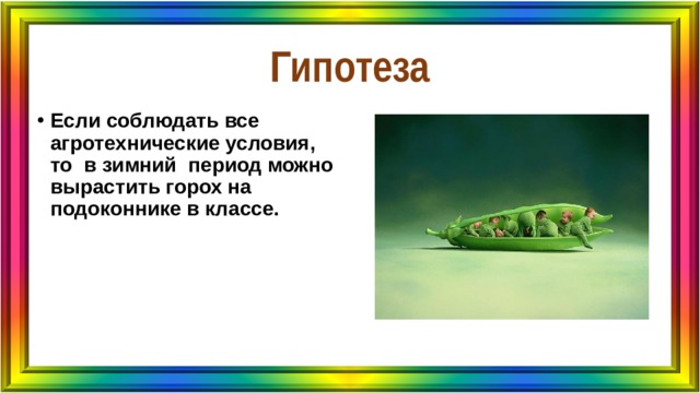 Гипотеза Если соблюдать все агротехнические условия, то в зимний период можно вырастить горох на подоконнике в классе. 