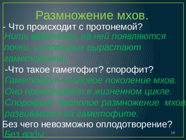 Что такое мхи в биологии 7 класс
