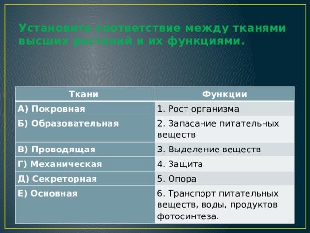 Установите соответствие между характеристиками ткани. Установите соответствие между тканями. Установите соответствие между видом ткани и ее функцией.. Установите соответствие между типами тканей и их функциями. Установите соответствие между типом ткани и ее функцией.