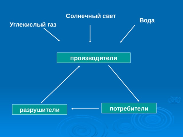 Презентация великий круговорот жизни