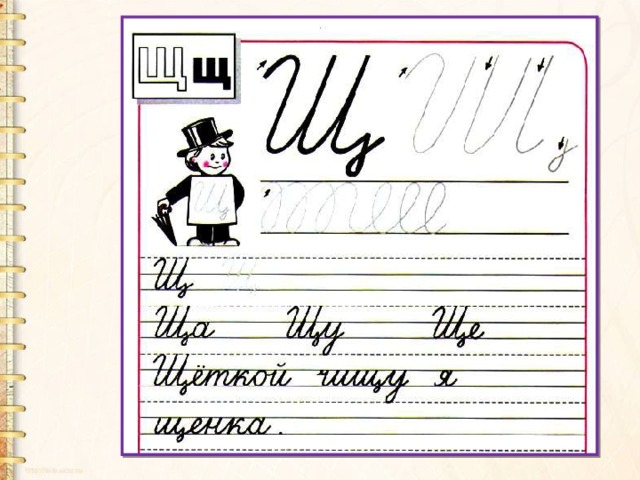 Пропуск элементов букв. Написание буквы щ. Письмо буквы щ. Чистописание буква щ. Буква щ строчная и заглавная.