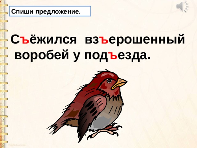 Как пишется взъерошенный. Предложение про воробья. Предложение с взъерошенный Воробей. Съежился взъерошенный Воробей у подъезда. Предложение про воробьёв.