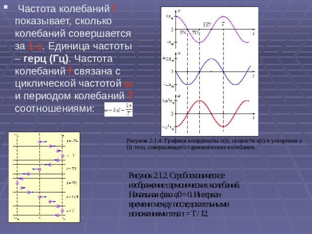 Частота колебаний f показывает, сколько колебаний совершается за 1 с . Единица частоты – герц (Гц) . Частота колебаний f связана с циклической частотой ω и периодом колебаний T соотношениями: