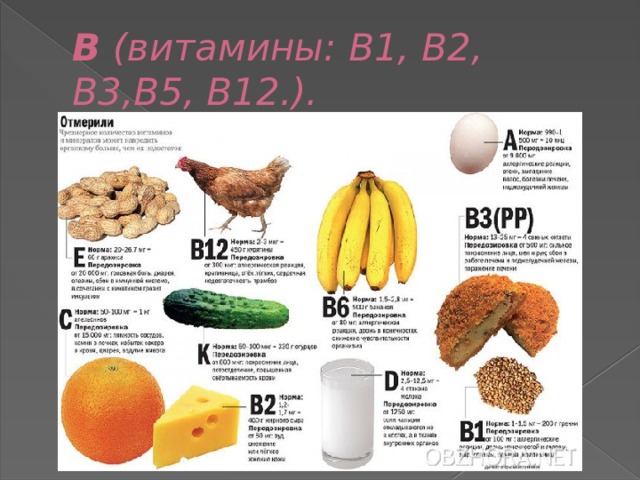 B (витамины: B1, B2, B3,В5, В12.). 