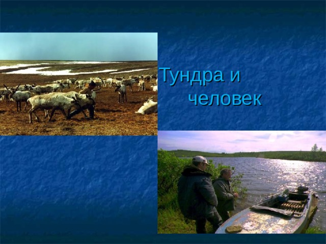 Народы природных зон. Тундра и человек. Занятия людей в тундре. Зона тундры деятельность человека. Деятельность человека в тундре.