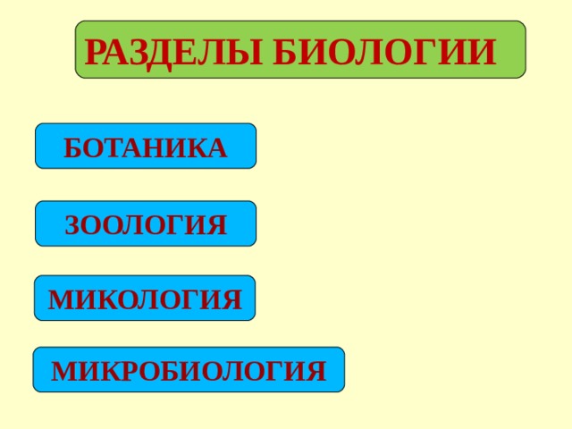 Основные разделы биологии. Разделы биологии. Ботаника Зоология микология микробиология. Биология Зоология мифология ботаника.