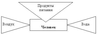 Какие цепи загрязнения могут возникнуть в этих случаях продолжите схемы и устно объясните их