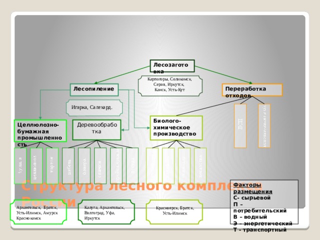 Схема лесного комплекса