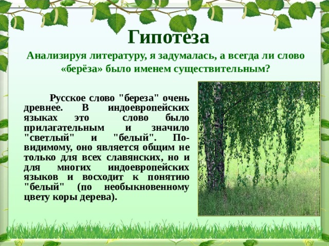  Гипотеза Анализируя литературу, я задумалась, а всегда ли слово «берёза» было именем существительным?  Русское слово 