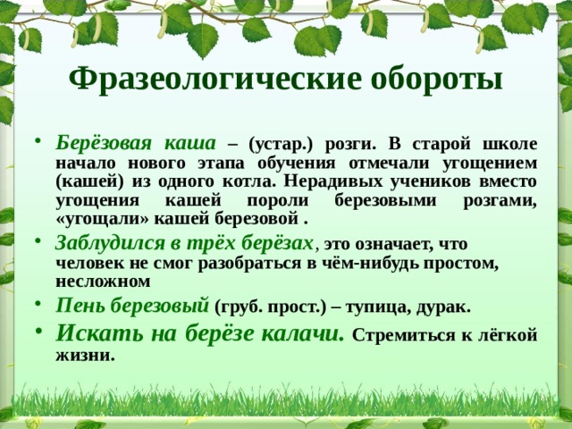 Фразеологические обороты Берёзовая каша  – (устар.) розги. В старой школе начало нового этапа обучения отмечали угощением (кашей) из одного котла. Нерадивых учеников вместо угощения кашей пороли березовыми розгами, «угощали» кашей березовой . Заблудился в трёх берёзах ,  это означает, что человек не смог разобраться в чём-нибудь простом, несложном  Пень березовый  (груб. прост.) – тупица, дурак. Искать на берёзе калачи. Стремиться к лёгкой жизни. 