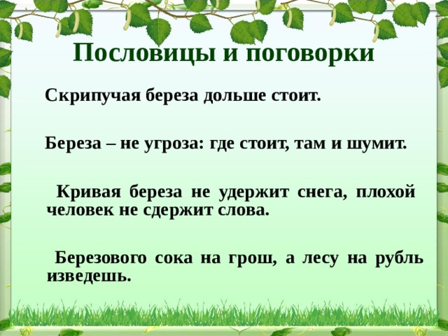 Состав слова березка. Березовый сок текст. Берёза не угроза. Кривому глазу и криво пословица. Соответствие пословицы прислонился к Кривой Березе.