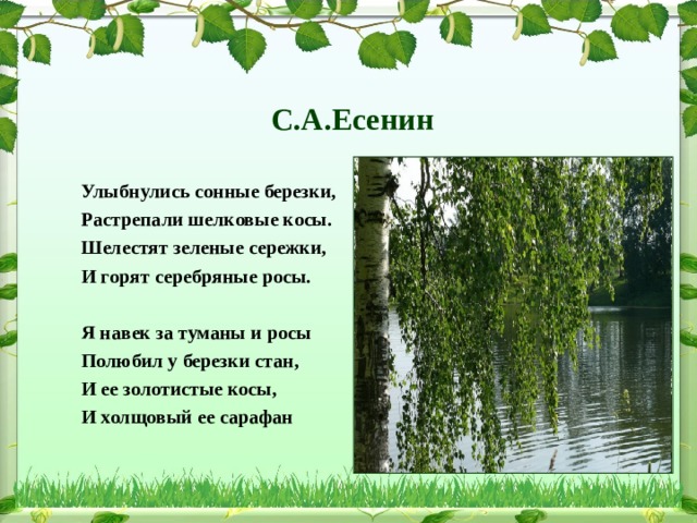 Улыбнулись сонные березки