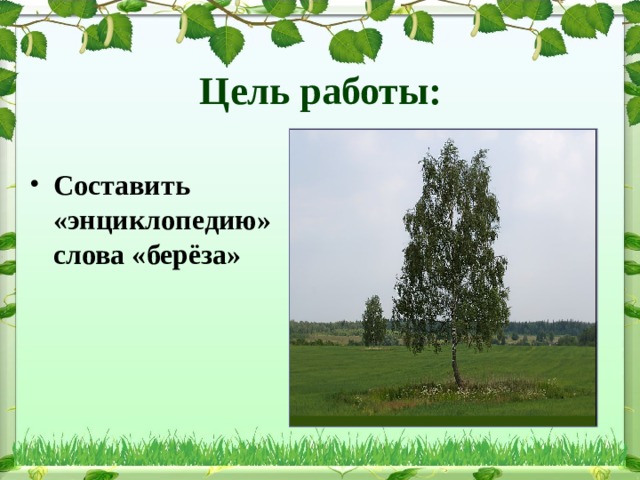 Синонимы к слову береза. Растёт в Волгограде берёзка. Схема слова береза 1 класс. Растёт в Волгограде берёзка текст.