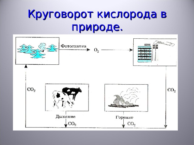 Схема круговорота кислорода в природе схема и