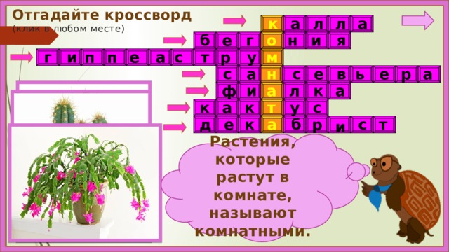  Отгадайте кроссворд  (клик в любом месте) а л к а л б е н и  я г о м п п а у р г т и с е а н с е  в ь е р а с а ф к л а и т к у а к с б с т а к е д р и Растения, которые растут в комнате, называют комнатными. 