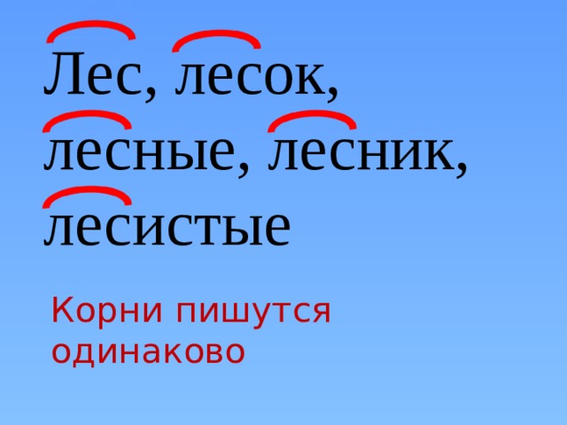 Русский язык тема корень презентация. Слова с корнем лес. Лес однокоренные. Лесной однокоренные слова. Леса однокоренные слова.