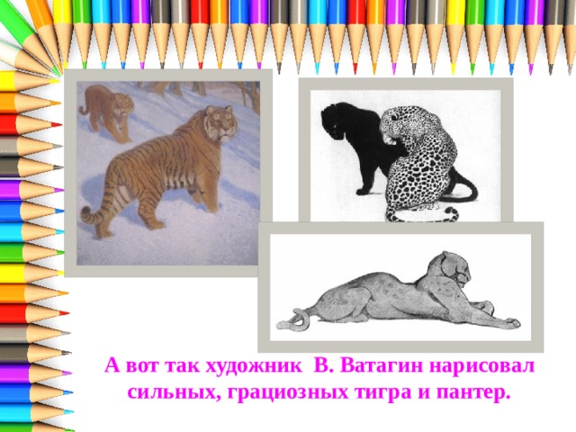 А вот так художник В. Ватагин нарисовал сильных, грациозных тигра и пантер. 